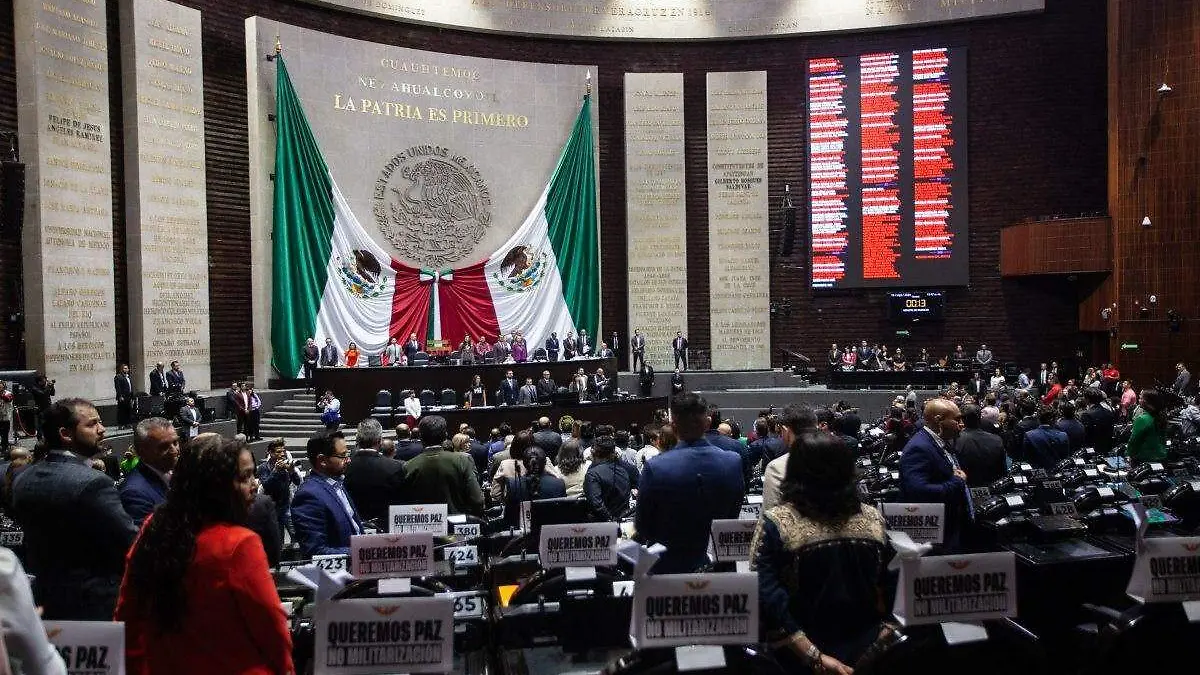 Cámara de Diputados (8)